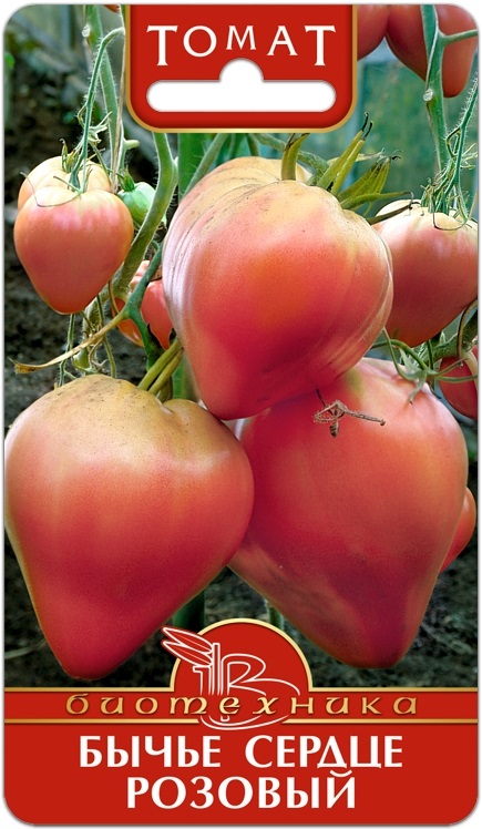 Описание сорта томата Бычье сердце розовое, фото, отзывы