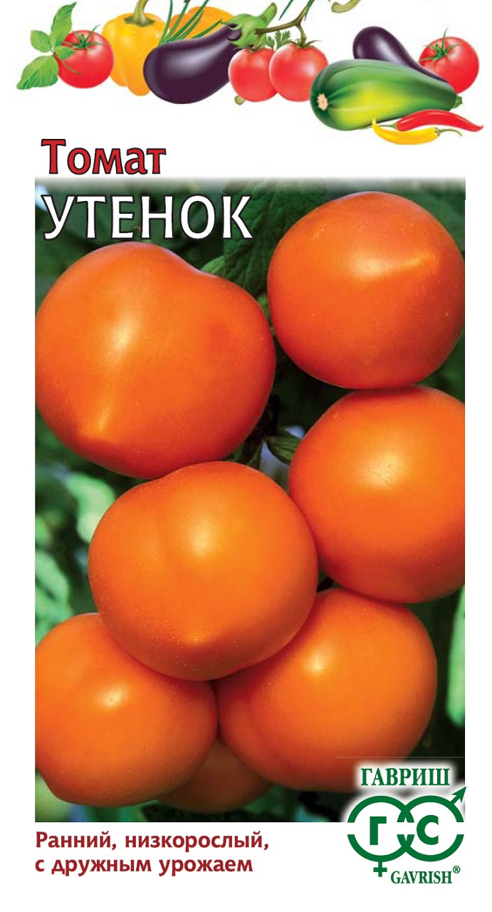 Особенности выращивания томатов Утенок, посадка и уход