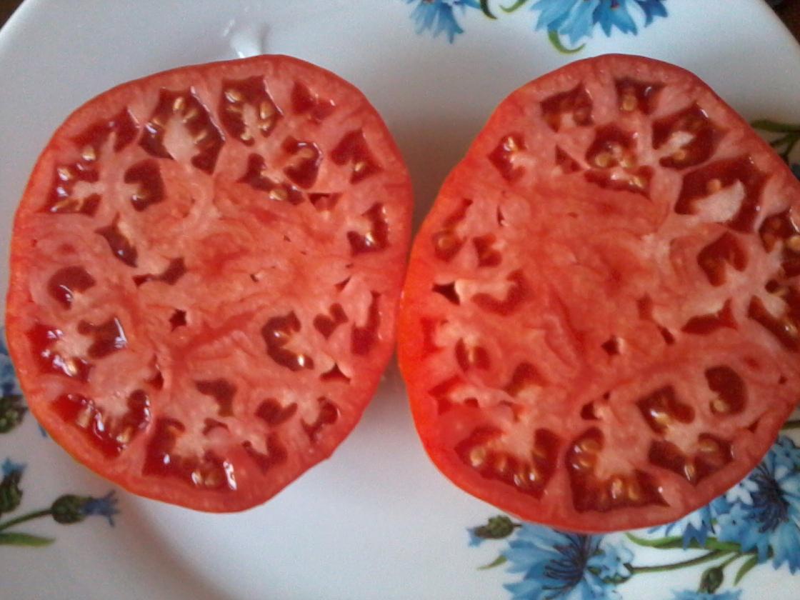 Видео: Сорт томатов Рим, обзор