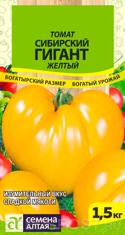 Описание и характеристика томата Сибирский гигант, отзывы, фото