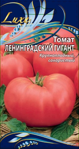 Описание и характеристика томата Ленинградский гигант, отзывы, фото