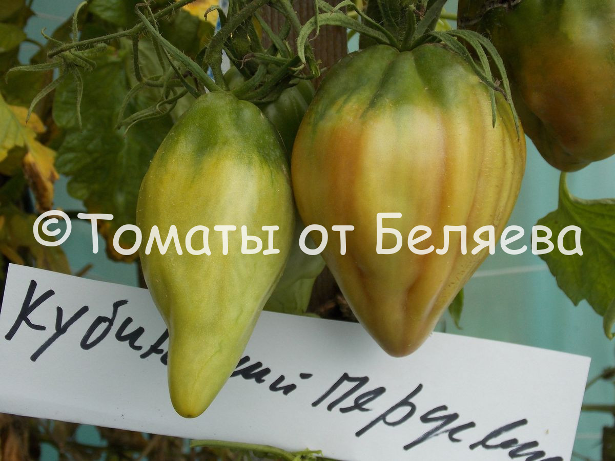 Описание и характеристика томата Кубинский перцевидный, отзывы, фото