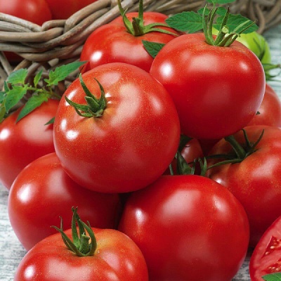 Особенности выращивания томата Полным полно
