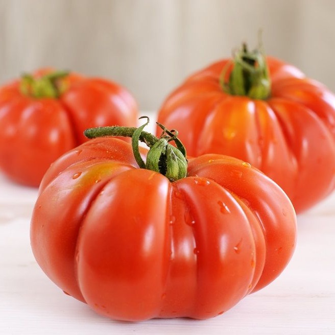 Особенности выращивания томатов Брутус
