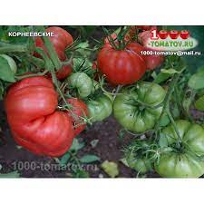 Описание сорта томата Корнеевские красные, отзывы, фото