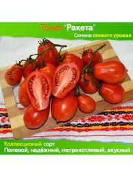 Урожайность томата Ракета