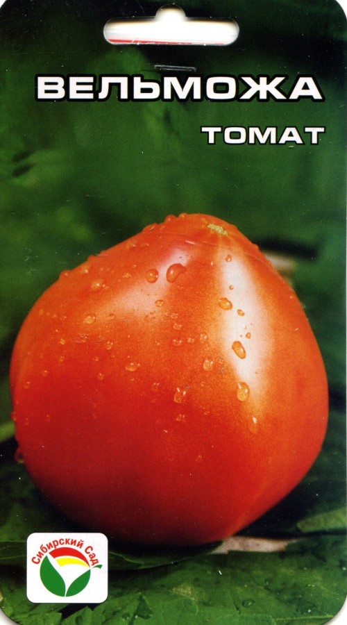 Особенности выращивания томатов Вельможа